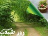 روز طبیعت؛ فرصتی برای تجدید عهد با زمین و طبیعت